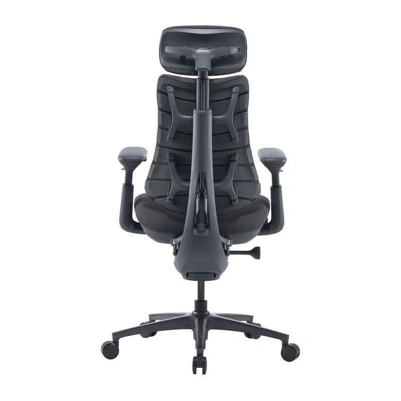 LiberNovo Omni Pro 48 cm Ergonomic Chair (Graphite)